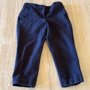 Ann Taylor Navy Cropped Trousers